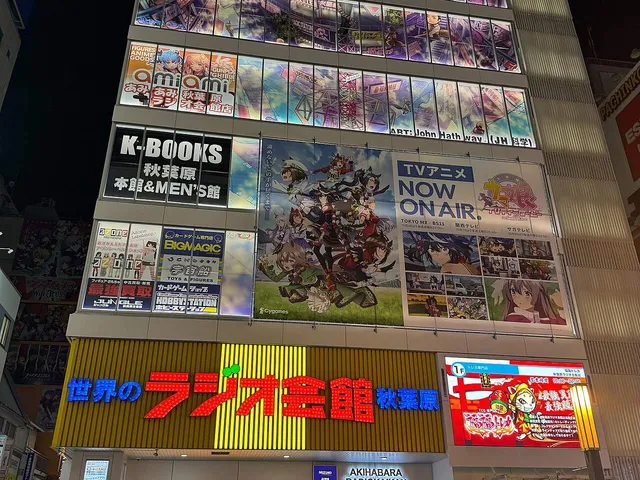 The current Akihabara Radio Kaikan building on Chuo-dori, across from the Electric Town exit